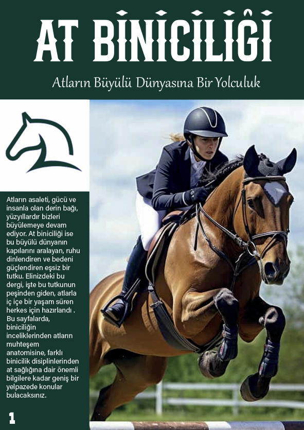 Horse Magazine Design 2